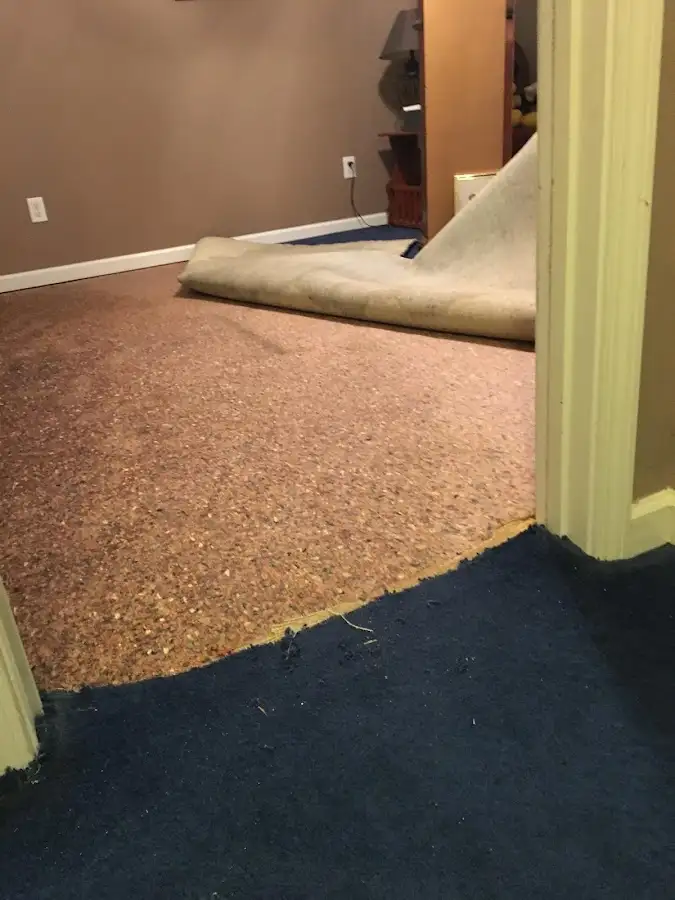 Carpet pad removal revealing water damage during Drying & Dehumidification in Whitehall