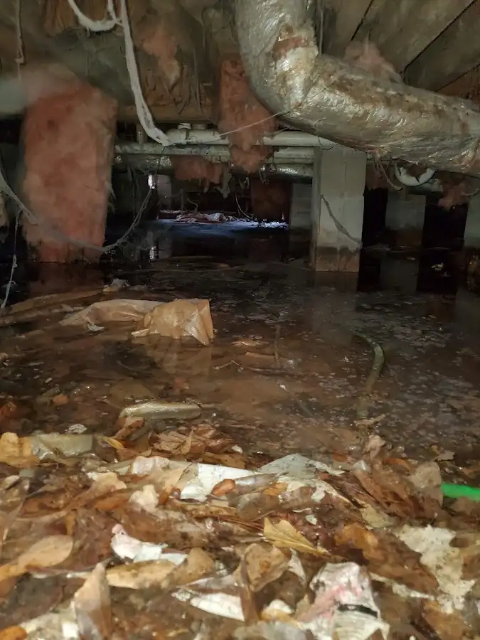 Crawl space flood assessment for Leak Detection & Repair in Whitehall