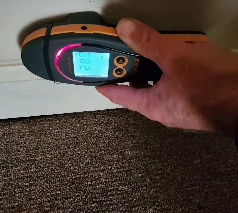 Moisture detection at baseboard during Sewage Cleanup & Sanitation in Whitehall
